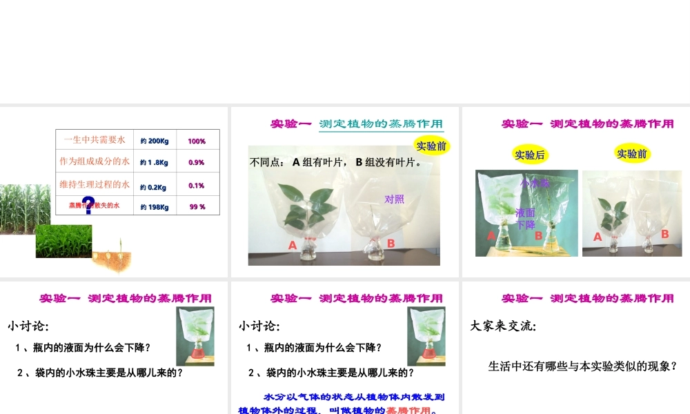 八年级生物上册 6.18.1 绿色植物与生物圈中的水循环课件 （新版）苏科版-（新版）苏科级上册生物课件