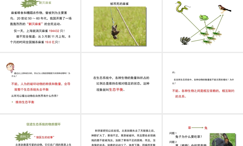 八年级生物上册 7.3.1《动物在自然界中的作用》课件2 鲁科版五四制-鲁科级上册生物课件