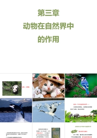 八年级生物上册 7.3.1《动物在自然界中的作用》课件2 鲁科版五四制-鲁科级上册生物课件