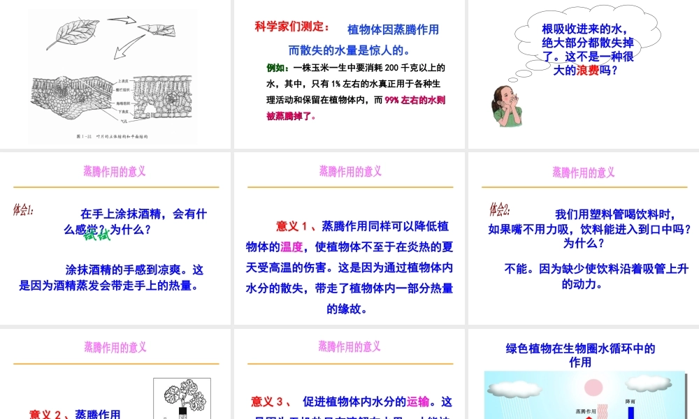 八年级生物上册 6.18.1《绿色植物与生物圈的水循环》课件 （新版）苏科版-（新版）苏科版初中八年级上册生物课件