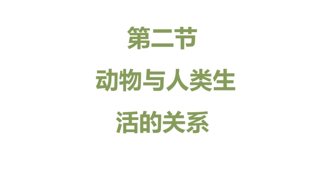 八年级生物上册 7.3.2《动物与人类生活的关系》课件 鲁科版五四制-鲁科版初中八年级上册生物课件
