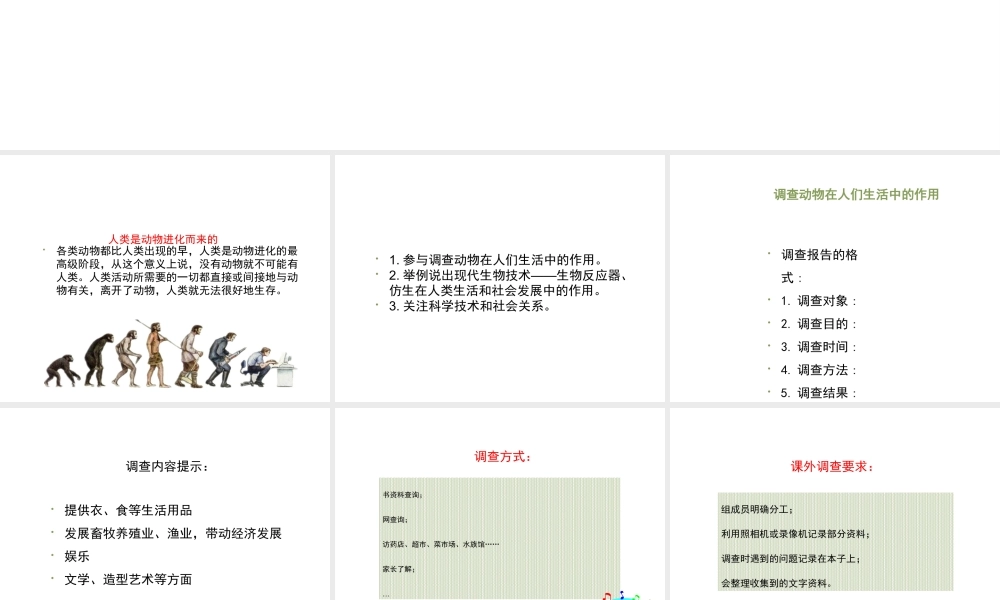 八年级生物上册 7.3.2《动物与人类生活的关系》课件 鲁科版五四制-鲁科版初中八年级上册生物课件