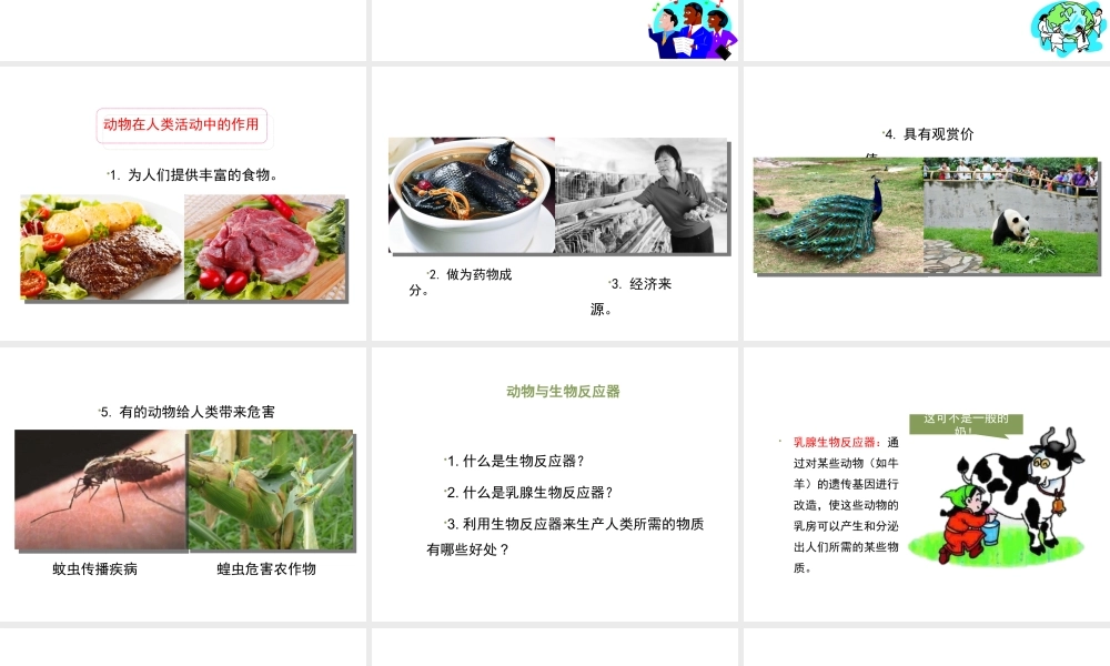 八年级生物上册 7.3.2《动物与人类生活的关系》课件 鲁科版五四制-鲁科版初中八年级上册生物课件