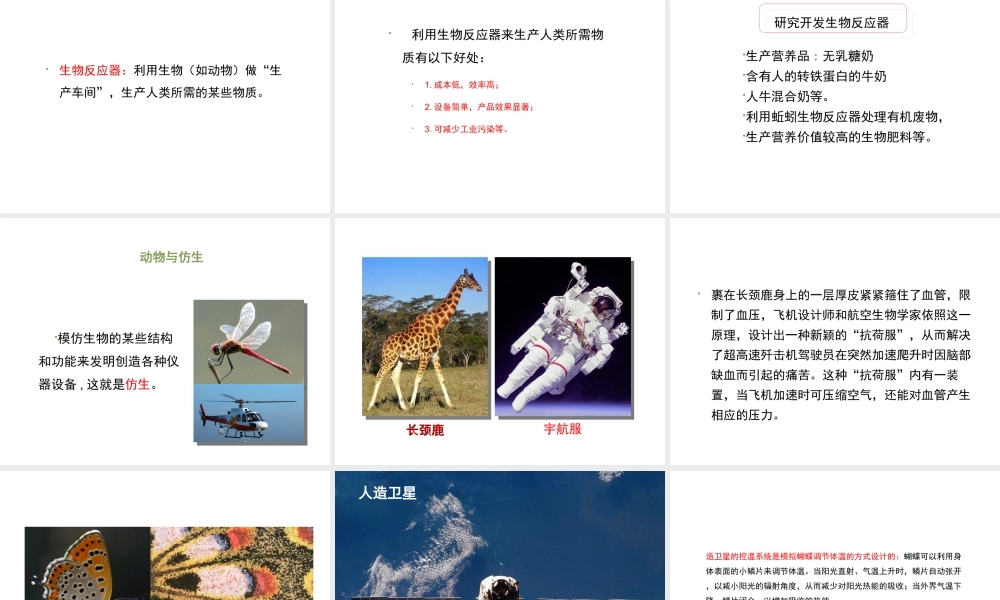 八年级生物上册 7.3.2《动物与人类生活的关系》课件 鲁科版五四制-鲁科版初中八年级上册生物课件