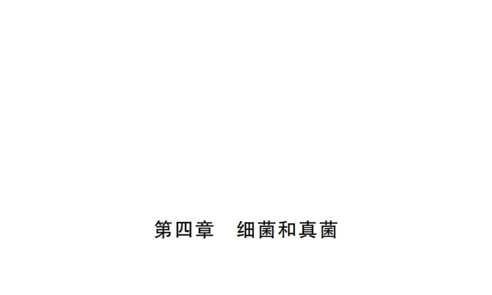 八年级生物上册 期末复习 第五单元 第四章 细菌和真菌课件 （新版）新人教版-（新版）新人教版初中八年级上册生物课件
