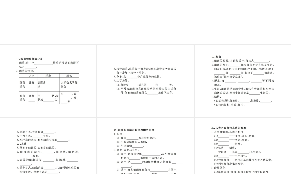 八年级生物上册 期末复习 第五单元 第四章 细菌和真菌课件 （新版）新人教版-（新版）新人教版初中八年级上册生物课件