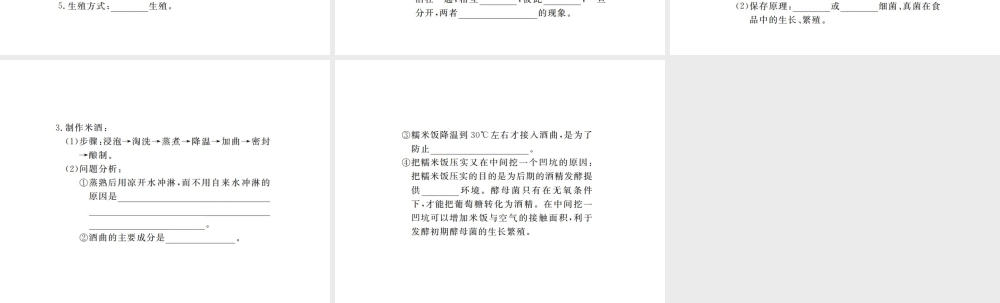 八年级生物上册 期末复习 第五单元 第四章 细菌和真菌课件 （新版）新人教版-（新版）新人教版初中八年级上册生物课件