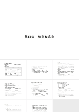 八年级生物上册 期末复习 第五单元 第四章 细菌和真菌课件 （新版）新人教版-（新版）新人教版初中八年级上册生物课件
