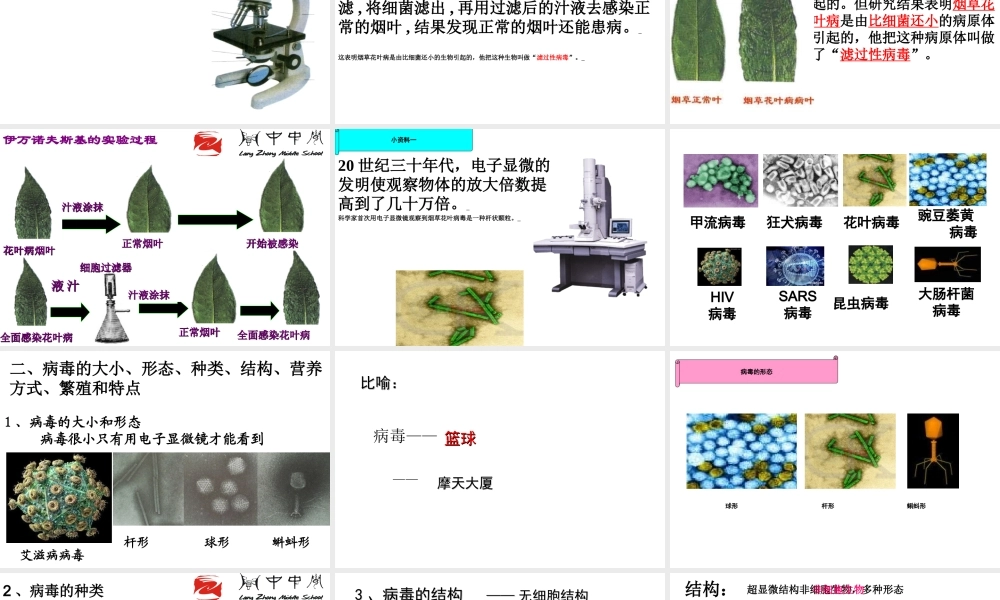 八年级生物上册 5.5《病毒》课件1 （新版）新人教版-（新版）新人教版初中八年级上册生物课件