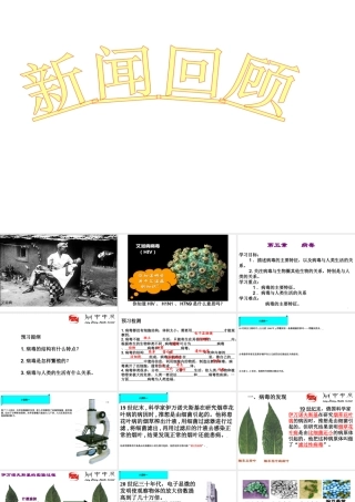 八年级生物上册 5.5《病毒》课件1 （新版）新人教版-（新版）新人教版初中八年级上册生物课件