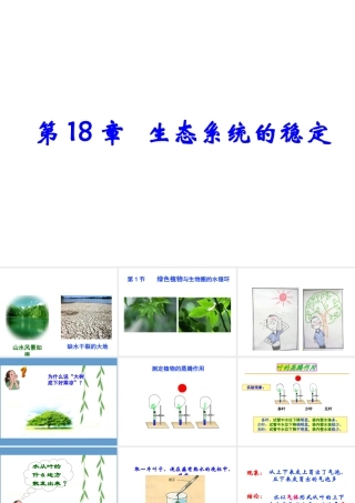 八年级生物上册 6.18.1《绿色植物与生物圈的水循环》课件 （新版）苏科版-（新版）苏科级上册生物课件