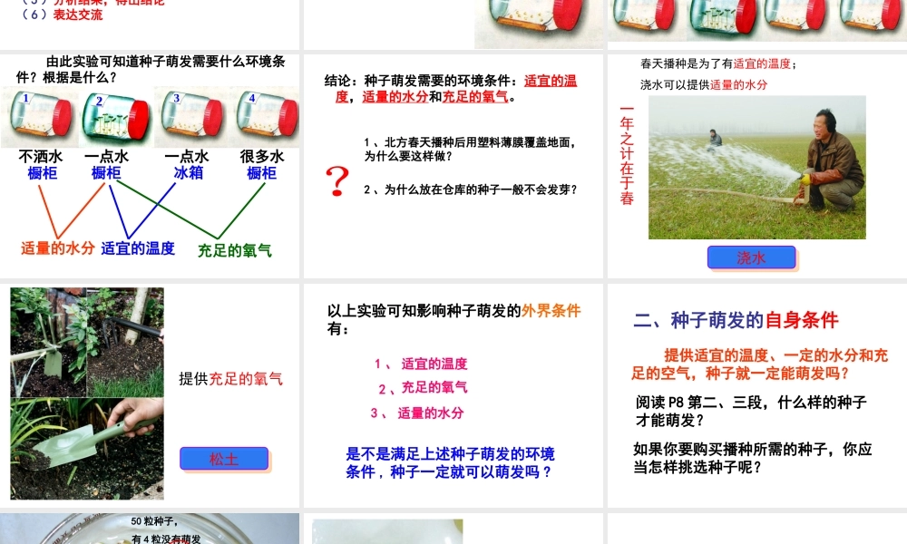 八年级生物上册 第3单元 第1章 第2节 种子萌发的条件课件 （新版）冀教版-（新版）冀教版初中八年级上册生物课件