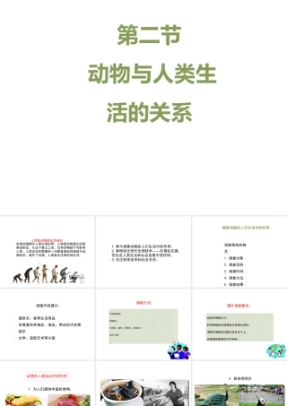 八年级生物上册 7.3.2《动物与人类生活的关系》课件 鲁科版五四制-鲁科级上册生物课件