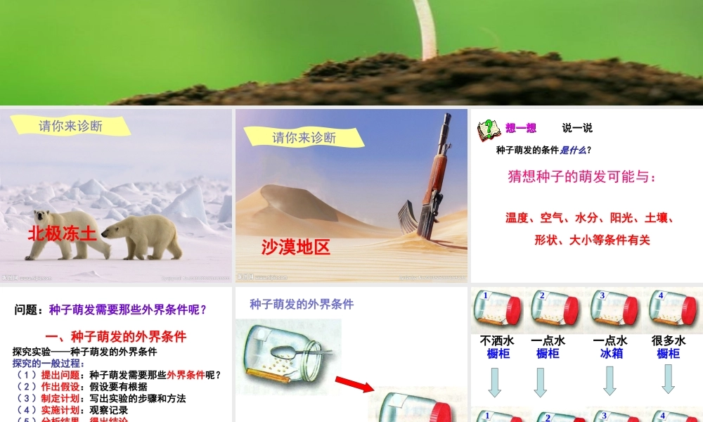 八年级生物上册 第3单元 第1章 第2节 种子萌发的条件课件 （新版）冀教版-（新版）冀教级上册生物课件