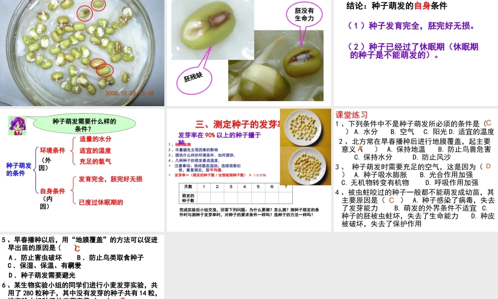 八年级生物上册 第3单元 第1章 第2节 种子萌发的条件课件 （新版）冀教版-（新版）冀教级上册生物课件