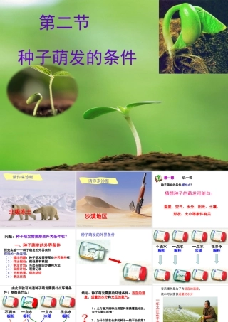 八年级生物上册 第3单元 第1章 第2节 种子萌发的条件课件 （新版）冀教版-（新版）冀教级上册生物课件