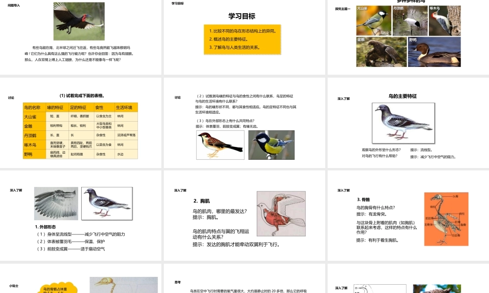 八年级生物上册 5.1.6《鸟》教学课件 （新版）新人教版-（新版）新人教级上册生物课件