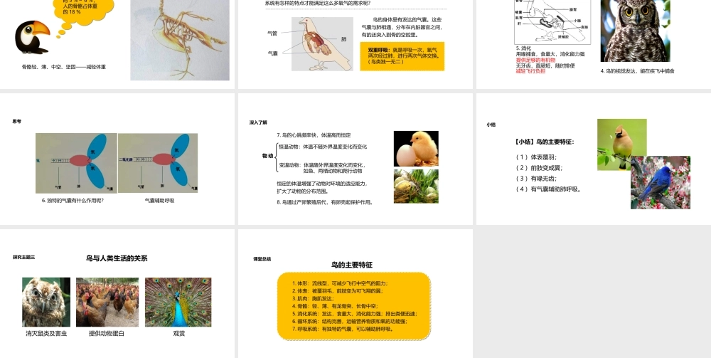 八年级生物上册 5.1.6《鸟》教学课件 （新版）新人教版-（新版）新人教级上册生物课件