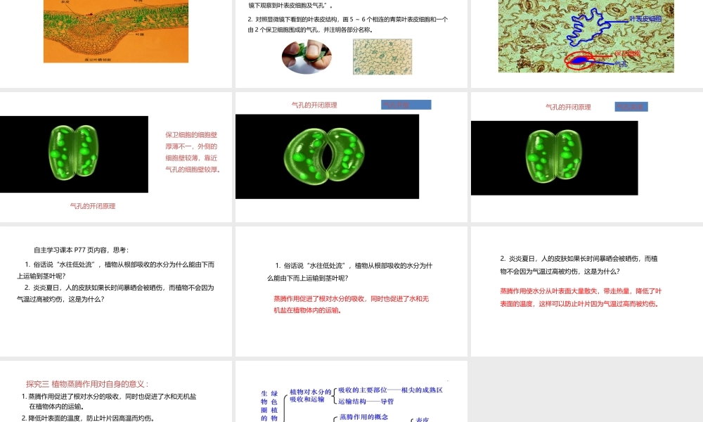 八年级生物上册 6.18.1绿色植物与生物圈的水循环课件 （新版）苏科版-（新版）苏科版初中八年级上册生物课件