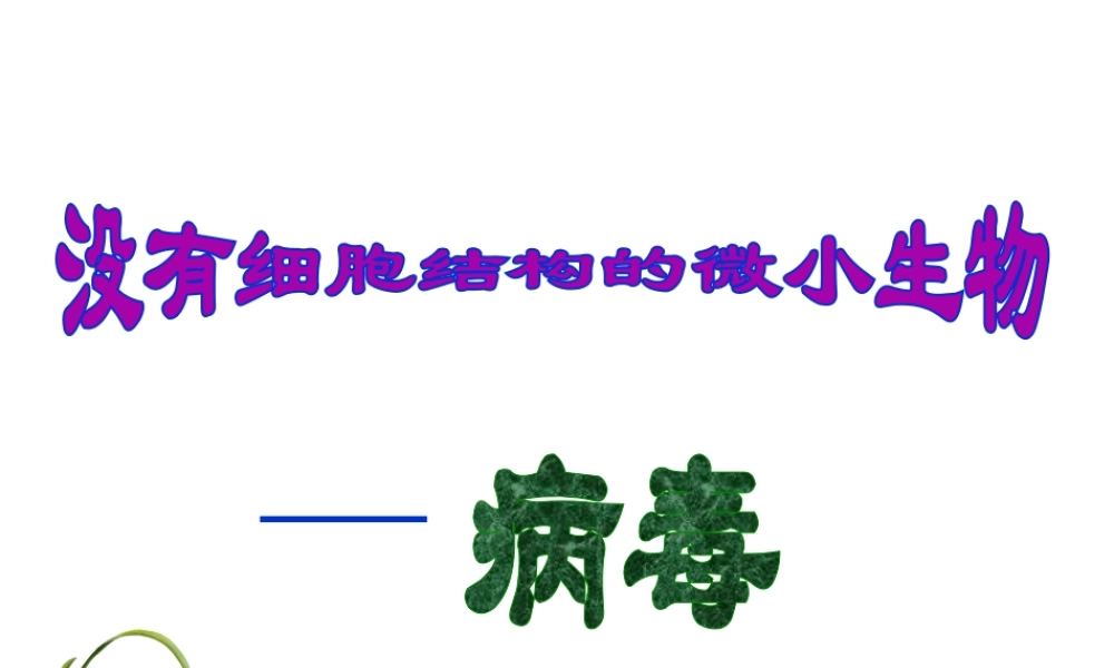 八年级生物上册 5.5《病毒》课件2 （新版）新人教版-（新版）新人教版初中八年级上册生物课件