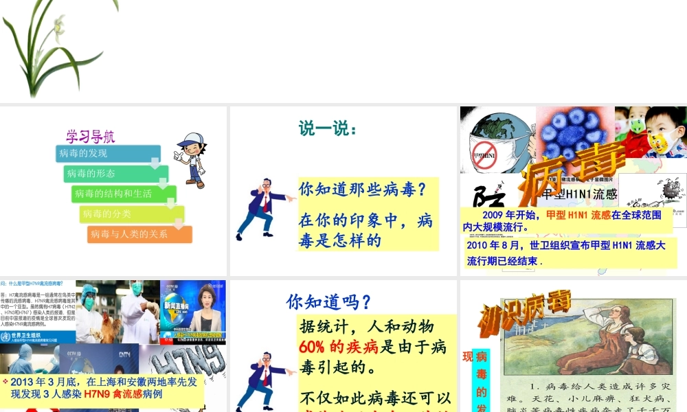 八年级生物上册 5.5《病毒》课件2 （新版）新人教版-（新版）新人教版初中八年级上册生物课件