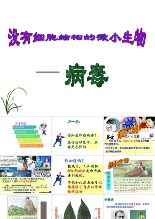 八年级生物上册 5.5《病毒》课件2 （新版）新人教版-（新版）新人教版初中八年级上册生物课件