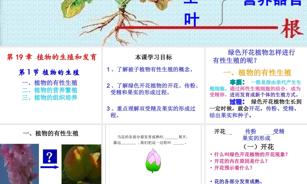 八年级生物上册 7.19.1《植物的生殖》课件 （新版）苏科版-（新版）苏科版初中八年级上册生物课件