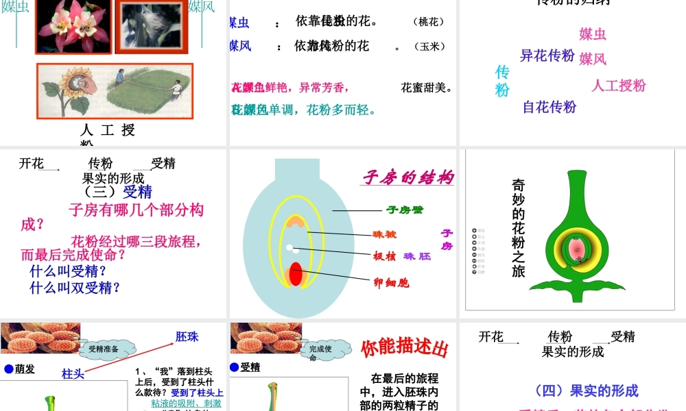 八年级生物上册 7.19.1《植物的生殖》课件 （新版）苏科版-（新版）苏科版初中八年级上册生物课件