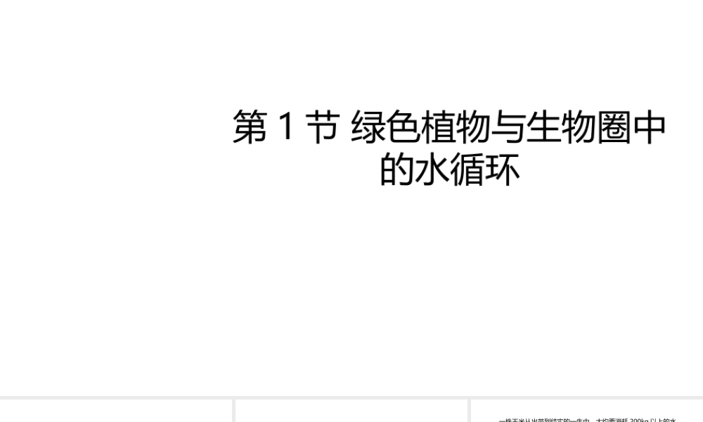 八年级生物上册 6.18.1绿色植物与生物圈的水循环课件 （新版）苏科版-（新版）苏科级上册生物课件
