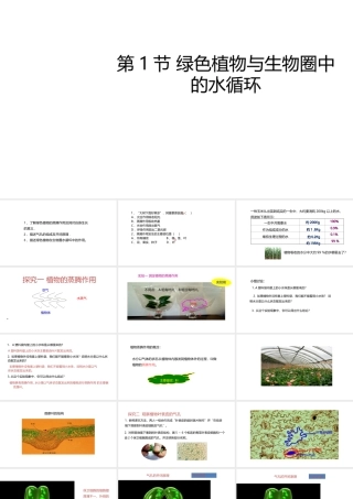 八年级生物上册 6.18.1绿色植物与生物圈的水循环课件 （新版）苏科版-（新版）苏科级上册生物课件