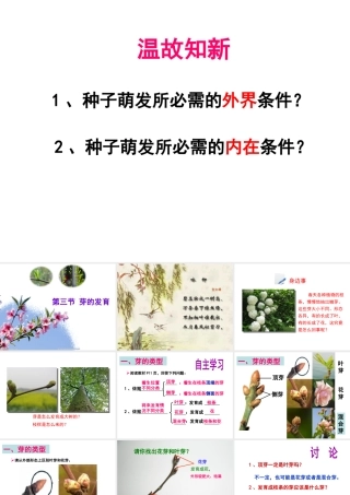 八年级生物上册 第3单元 第1章 第3节 芽的发育课件 （新版）冀教版-（新版）冀教版初中八年级上册生物课件