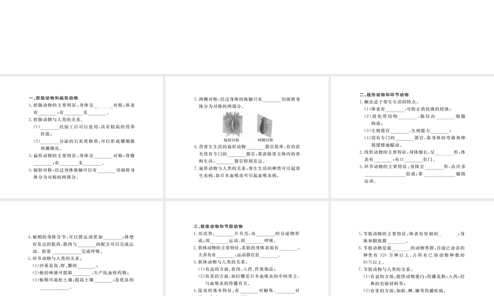 八年级生物上册 期末复习 第五单元 第一章 动物的主要类群课件 （新版）新人教版-（新版）新人教版初中八年级上册生物课件