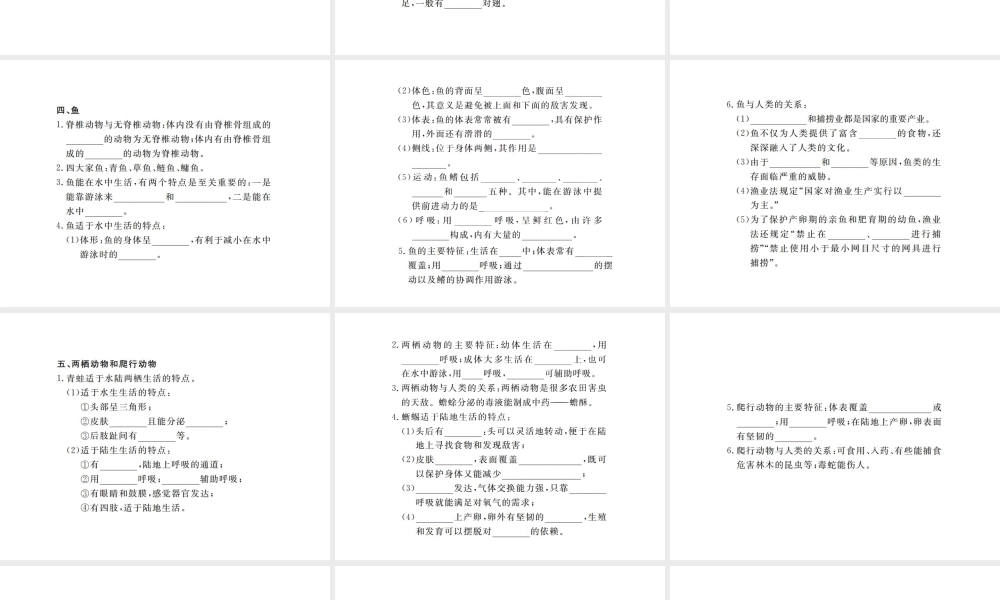 八年级生物上册 期末复习 第五单元 第一章 动物的主要类群课件 （新版）新人教版-（新版）新人教版初中八年级上册生物课件