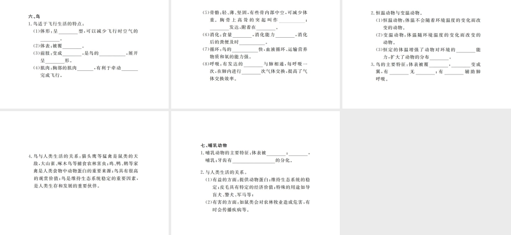八年级生物上册 期末复习 第五单元 第一章 动物的主要类群课件 （新版）新人教版-（新版）新人教版初中八年级上册生物课件