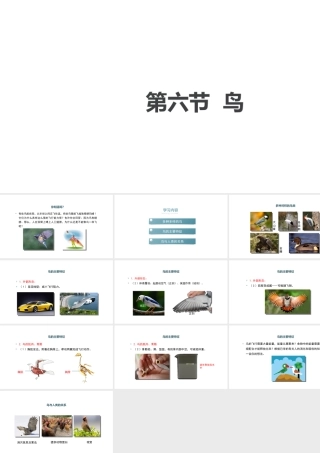 八年级生物上册 5.1.6《鸟》课件 （新版）新人教版-（新版）新人教版初中八年级上册生物课件
