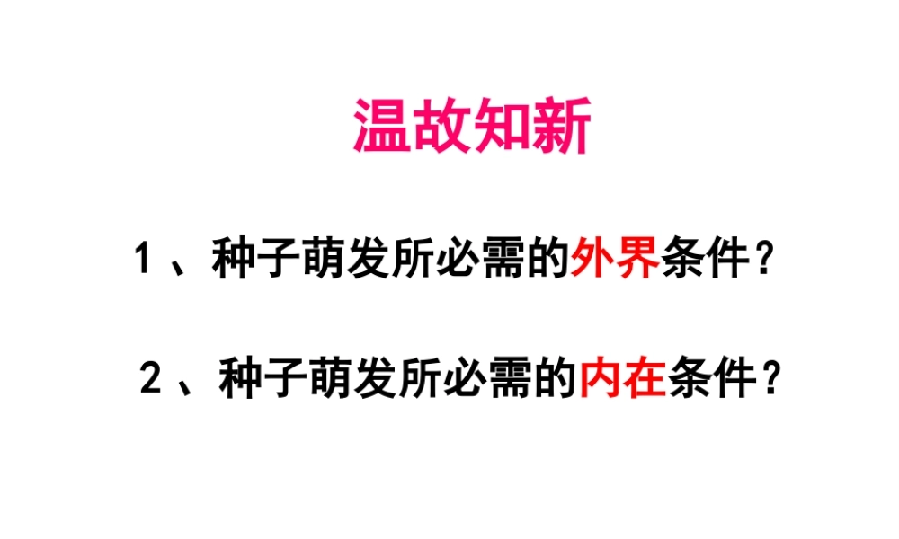 八年级生物上册 第3单元 第1章 第3节 芽的发育课件 （新版）冀教版-（新版）冀教级上册生物课件