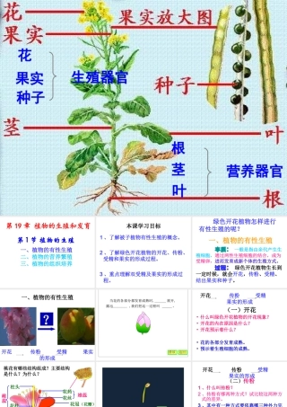 八年级生物上册 7.19.1《植物的生殖》课件 （新版）苏科版-（新版）苏科级上册生物课件