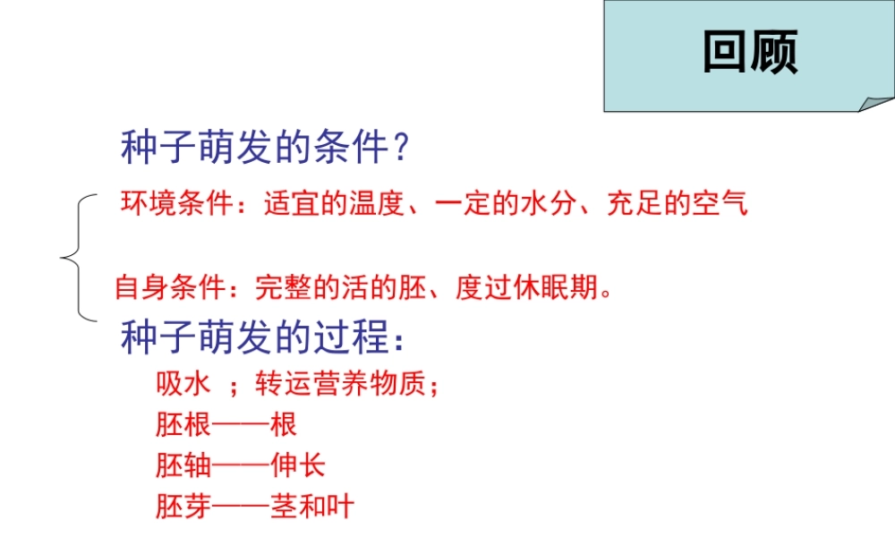 八年级生物上册 第3单元 第2章 第1节 根的生长课件 （新版）冀教版-（新版）冀教版初中八年级上册生物课件