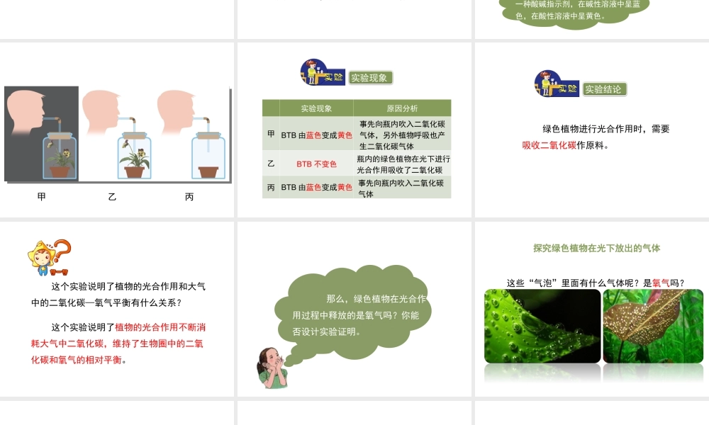 八年级生物上册 6.18.2《绿色植物与生物圈中的碳-氧平衡》课件1 （新版）苏科版-（新版）苏科级上册生物课件