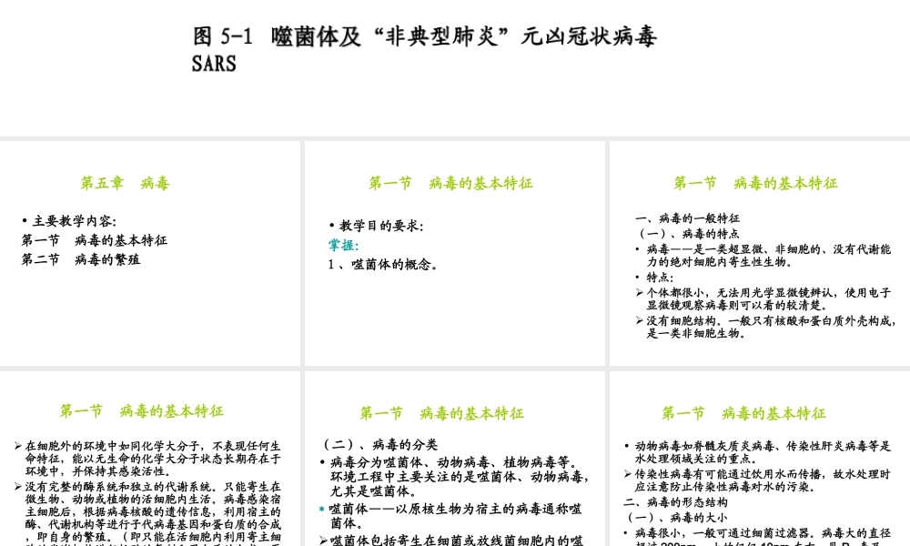 八年级生物上册 5.5《病毒》课件3 （新版）新人教版-（新版）新人教版初中八年级上册生物课件
