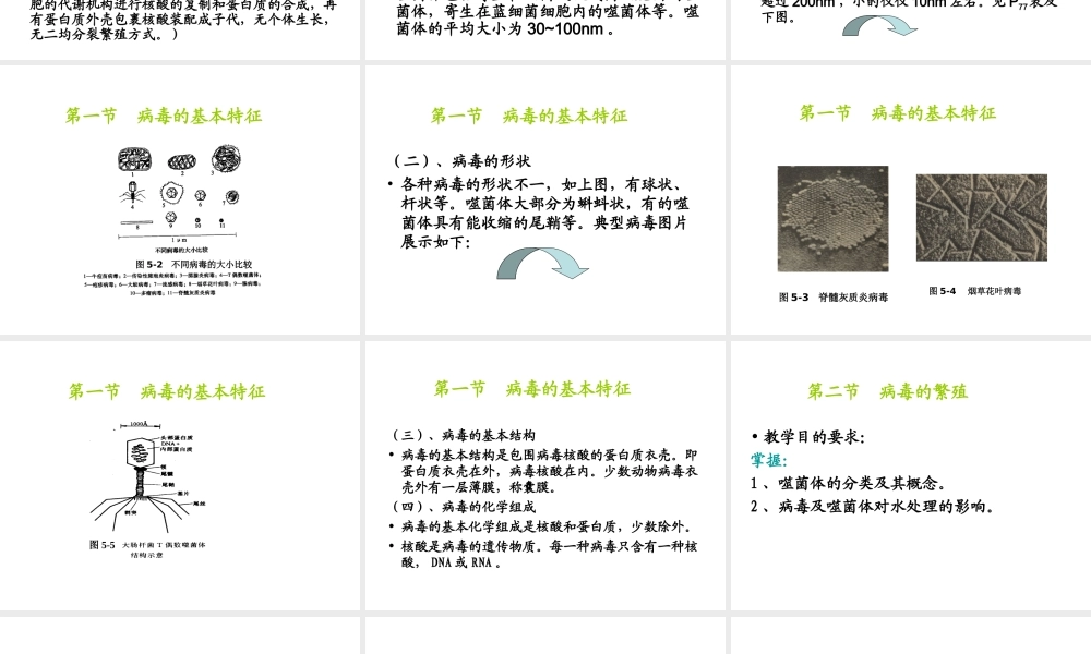 八年级生物上册 5.5《病毒》课件3 （新版）新人教版-（新版）新人教版初中八年级上册生物课件