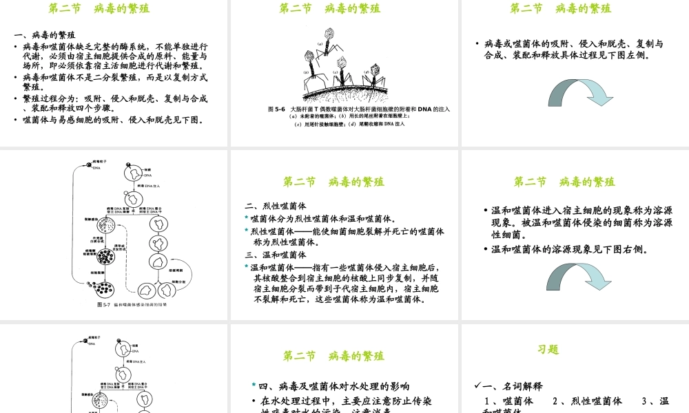 八年级生物上册 5.5《病毒》课件3 （新版）新人教版-（新版）新人教版初中八年级上册生物课件