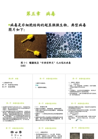 八年级生物上册 5.5《病毒》课件3 （新版）新人教版-（新版）新人教版初中八年级上册生物课件