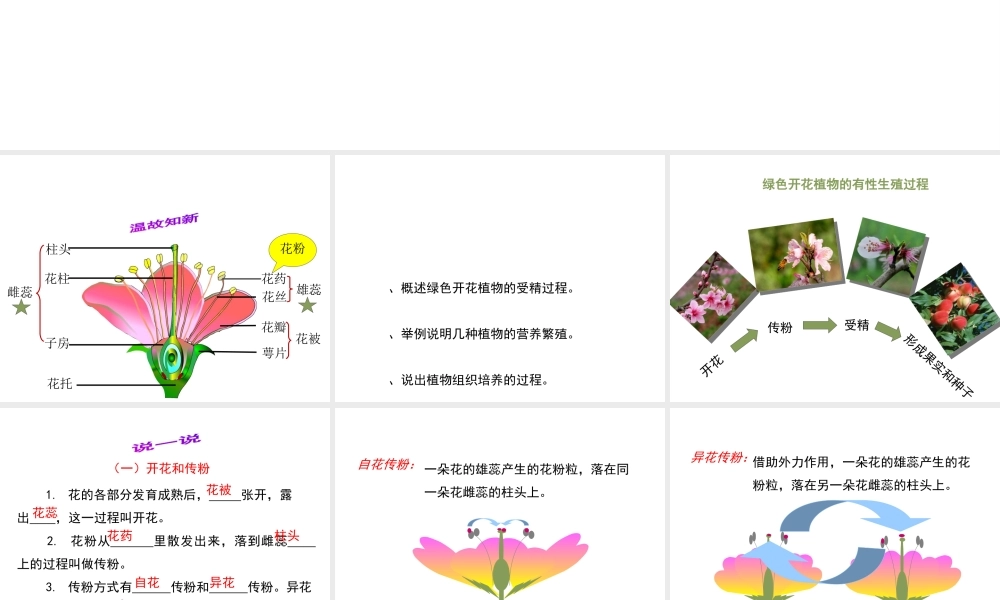 八年级生物上册 7.19.1《植物的生殖》课件1 （新版）苏科版-（新版）苏科版初中八年级上册生物课件