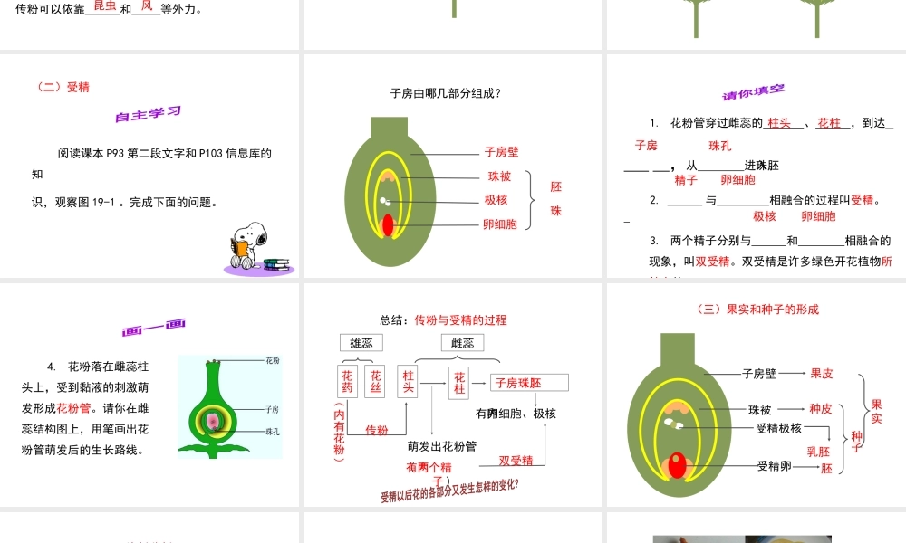 八年级生物上册 7.19.1《植物的生殖》课件1 （新版）苏科版-（新版）苏科版初中八年级上册生物课件