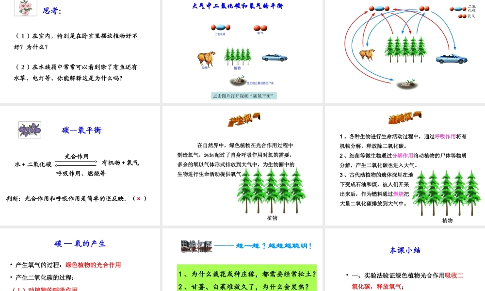 八年级生物上册 6.18.2《绿色植物与生物圈中的碳—氧平衡》课件2 （新版）苏科版-（新版）苏科版初中八年级上册生物课件