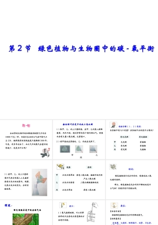 八年级生物上册 6.18.2《绿色植物与生物圈中的碳—氧平衡》课件2 （新版）苏科版-（新版）苏科版初中八年级上册生物课件