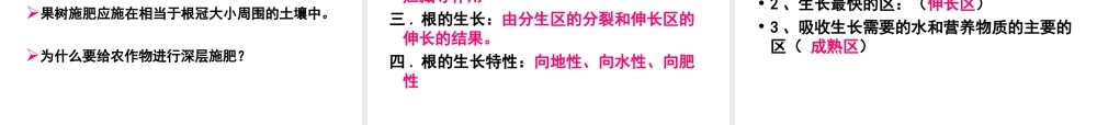 八年级生物上册 第3单元 第2章 第1节 根的生长课件 （新版）冀教版-（新版）冀教级上册生物课件