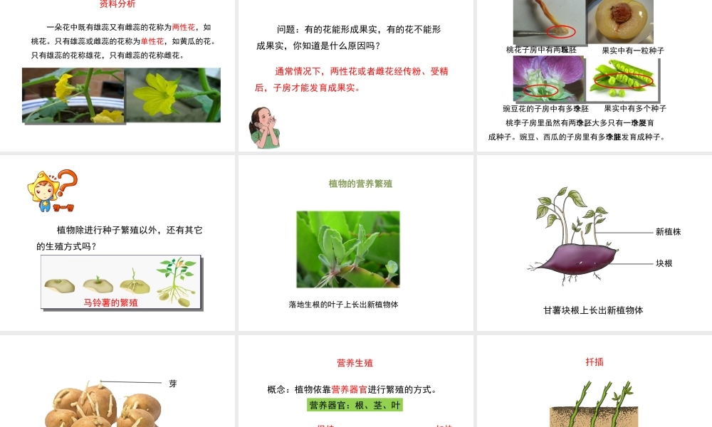 八年级生物上册 7.19.1《植物的生殖》课件1 （新版）苏科版-（新版）苏科级上册生物课件