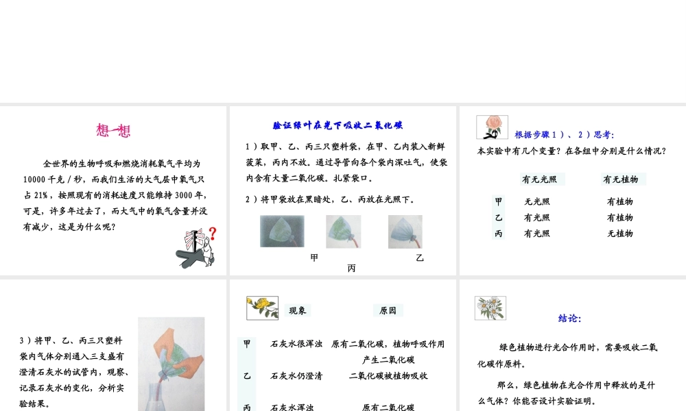 八年级生物上册 6.18.2《绿色植物与生物圈中的碳-氧平衡》课件2 （新版）苏科版-（新版）苏科级上册生物课件